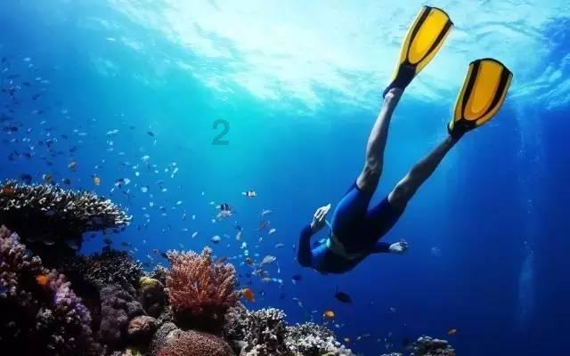 上海女排进步太大!副攻拦网增强、边攻实力更强、王之腾变成熟
